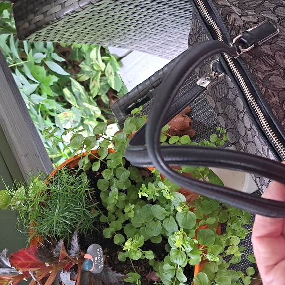 Coach F36220 Kelsey Black Leather Trim w Gray "C" Signature Shoulder - Picture 9 of 12